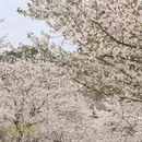 宁波旅游 缩略图 4