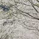 宁波旅游 缩略图 12
