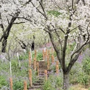 宁波旅游 缩略图 14