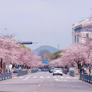 马鞍山旅游 缩略图 1