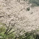 宁波旅游 缩略图 9