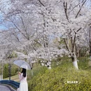 北京旅游 缩略图 14