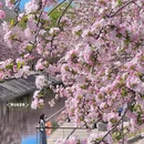 北京旅游 缩略图 15
