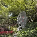 杭州旅游 缩略图 13