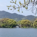 杭州旅游 缩略图 15