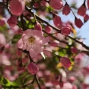 北京旅游 缩略图 5