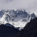 林芝旅游 缩略图 8