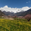 林芝旅游 缩略图 1