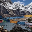 林芝旅游 缩略图 12