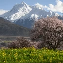 林芝旅游 缩略图 2