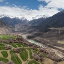 林芝旅游 缩略图 5