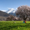 林芝旅游 缩略图 4