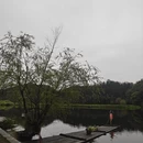上饶旅游 缩略图 4