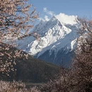 林芝旅游 缩略图 8