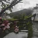 上饶旅游 缩略图 2