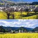 黄山旅游 缩略图 1