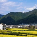 黄山旅游 缩略图 4