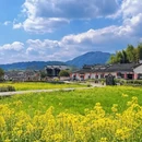 黄山旅游 缩略图 7