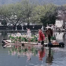 黄山旅游 缩略图 12
