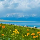 伊犁旅游 缩略图 2