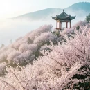 昆明旅游 缩略图 2