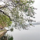 南京旅游 缩略图 3