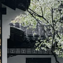 南京旅游 缩略图 8