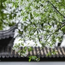 南京旅游 缩略图 11