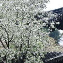 南京旅游 缩略图 10