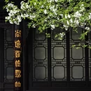 南京旅游 缩略图 12