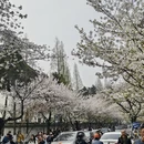 南京旅游 缩略图 5