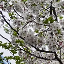 南京旅游 缩略图 2