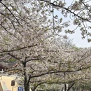 南京旅游 缩略图 4