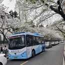南京旅游 缩略图 6