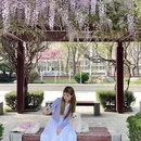 青岛旅游 缩略图 17