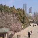 青岛旅游 缩略图 3