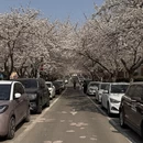 青岛旅游 缩略图 7