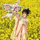 青岛旅游 缩略图 12