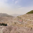 青岛旅游 缩略图 11