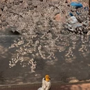 青岛旅游 缩略图 5