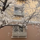 青岛旅游 缩略图 6