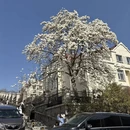 青岛旅游 缩略图 13