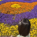 青岛旅游 缩略图 8