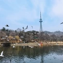 北京旅游 缩略图 1