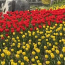 北京旅游 缩略图 11