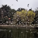 北京旅游 缩略图 5