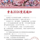 青岛旅游 缩略图 1