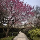 北京旅游 缩略图 6
