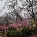 北京旅游 缩略图 8