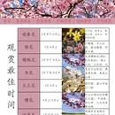 青岛旅游 缩略图 2